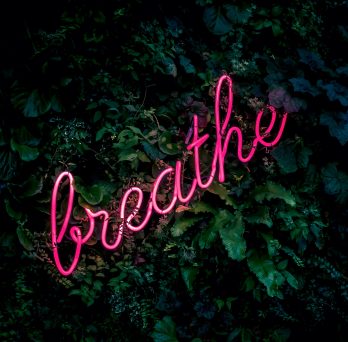 breathe
                  