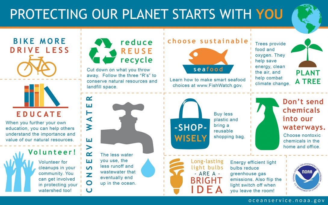 Image result for Sustainable Living: Simple Ways to Help the Environment in Your Daily Life infographics